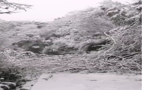 戰(zhàn)暴雪、保供電！湖南發(fā)展鳥兒巢公司應(yīng)對(duì)極端天氣緊急搶修失電故障